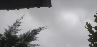 Besok, Kepri Berpotensi Turun Hujan Hingga Siang Hari BMKG Kepri memprediksi Kepri akan diguyur hujan sampai siang hari F,rinto