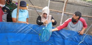 Atasi Kesulitan Ekonomi, Manfaatkan Lahan Kosong di Sekitar Rumah untuk Beternak Lele Walikota Tanjungpinang, Hj. Rahma kagum saat melakukan panen perdana budidaya Ikan Lele milik salah satu warga Kelurahan Kampung Baru F,ist