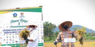 Agrowisata Persawahan di Teluk Sebong, Bintan di Launching. Diharapkan Mampu Tarik Wisatawan Agrowisata Persawahan di Teluk Sebong, Bintan di Launching. Diharapkan Mampu Tarik Wisatawan F,ist