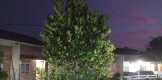 Sebelum 2021 Berganti, Tiga Kampung di Bintan ini Sudah Harus Dialiri Listrik Listrik memiliki peran utama dalam kehidupan sehari-hari. Saat ini di Bintan masih ada tiga kampung yang belum teraliri listrik. Foto diambil di Perumahan Batu IX F,Rinto