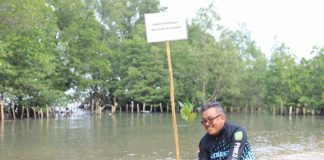 Peserta Astindo Joybike Tanam Mangrove di Destinasi Wisata Pelestarian pohon bakau F, ist