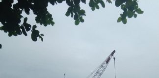 Nilai Ekspor Kepri Oktober 2021 Mencapai Rp18,5 Triliun Nilai Ekspor Kepri Oktober 2021 Mencapai Rp18,5 Triliun f,Rinto