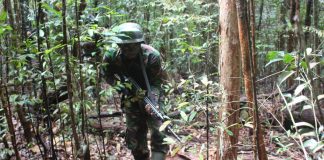 Yonif Raider Khusus 136/TS Gelar Latihan Pertempuran Hutan “Jungle War” Yonif Raider Khusus 136/TS Gelar Latihan Pertempuran Hutan "Jungle war" f, ist