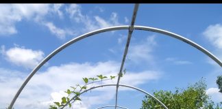 Gubernur Nyatakan Komitmennya Jaga Kelestarian Mangrove di Kepri Salah satu lokasi pohon bakau yang mulai habis pertumbuhannya F, Rinto