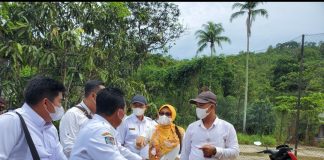 Pembagian WFO dan WFH Kembali Diterapkan Untuk Pegawai Kemenpan kembali berlakukan batasan WFO dan WFH F, dok