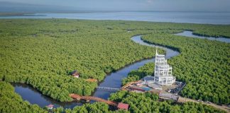Sandiaga Uno : Tower Mangrove Forest Park Langsa Ikon Pariwisata Baru di Aceh Menteri Pariwisata dan Ekonomi Kreatif/Kepala Badan Pariwisata dan Ekonomi Kreatif Sandiaga Salahuddin Uno meresmikan Tower Mangrove Forest Park Langsa di Aceh yang diharapkan bisa menjadi ikon pariwisata baru di provinsi tersebut f,ist