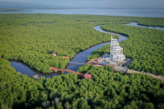 Menteri Pariwisata dan Ekonomi Kreatif/Kepala Badan Pariwisata dan Ekonomi Kreatif Sandiaga Salahuddin Uno meresmikan Tower Mangrove Forest Park Langsa di Aceh yang diharapkan bisa menjadi ikon pariwisata baru di provinsi tersebut f,ist