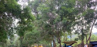 Ingin Berpetualang, Silahkan Berkunjung ke Wisata Sungai Kim, Kabupaten Lingga Wisata Sungai Kim yang tengah menjadi sorotan para wisatawan di Desa Wisata Resun, Daik Lingga F, ist