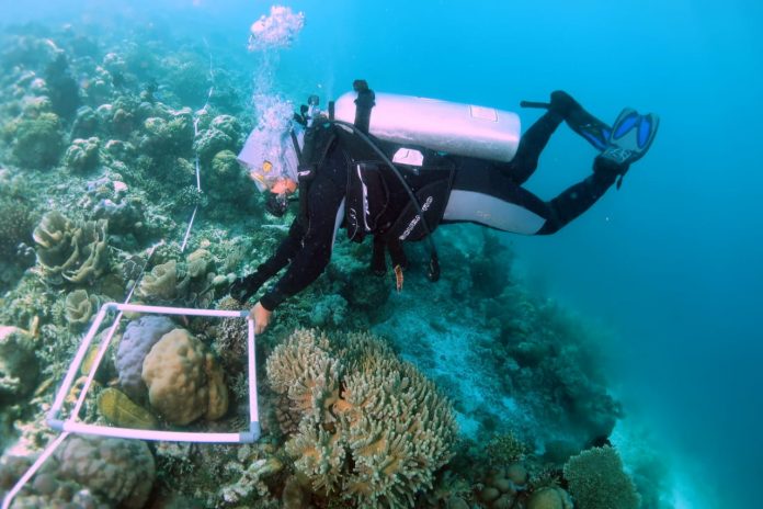 Seluas 138.661,42 Hektar Perairan di Bintan Ditetapkan Jadi Kawasan Konservasi F,KKP