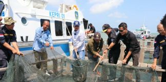 Taba Iskandar Wakili Gubernur Ansar Panen Ikan Kerapu Cantang di Pulau Akar Ketua Badan Kehormatan DPRD Provinsi Kepri Taba Iskandar, ikut panen ikan bersama masyarakat di Batam F,ist