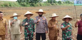 Kodim 0315/Tanjungpinang Buka Lahan Untuk Tanam Jagung Manis di Kabupaten Bintan . Komando Distrik Militer (Kodim) 0315/Tanjungpinang menggelar Penanaman Perdana Jagung dalam rangka Ketahanan Pangan (Hanpangan), Senin (25/7) F,ist
