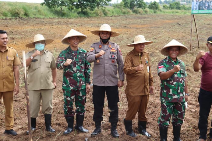 Komando Distrik Militer (Kodim) 0315/Tanjungpinang menggelar Penanaman Perdana Jagung dalam rangka Ketahanan Pangan (Hanpangan), Senin (25/7) F,ist