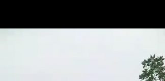 5 Anak Viral Tendang Pagar Jembatan Taman Wisata Kota Rebah Ditangkap Polisi Seorang anak saat menendang pagar jembatan F, tangkapan layar