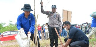 Pohon Jati Emas Ditanam di Sepanjang Jalan Jenderal Sudirman, Batam Penanaman pohon Jati Emas dilakukan di Taman Dang Anom Simpang Jam, Kota Batam, Rabu (24/8) F,ist
