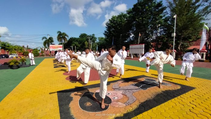 Ujian bela diri Polri merupakan salah satu syarat mutlak yang harus dilalui untuk mendapatkan kenaikan pangkat bagi semua anggota Polri F,ist