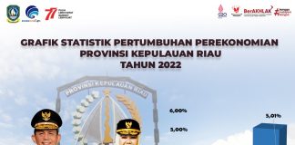Ekonomi Kepri Triwulan II 2022 Tumbuh 5,01 Persen (YoY) di Tengah Tekanan Inflasi BPS Kepri merilis Ekonomi Kepulauan Riau pada triwulan II-2022 (y-on-y) tumbuh sebesar 5,01 persen F, ist
