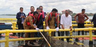 Gubernur Ansar Ikut Panen 10 Ton Ikan Bawal di Bintan Gubernur Kepulauan Riau H. Ansar Ahmad ikut serta dalam panen raya Ikan Bawal Bintang sebanyak 10 ton di Keramba Jaring Apung (KJA) Kampung Budidaya Perikanan Kampung Keter Tengah, Tembeling, Bintan, Senin (31/10) F, Diskominfo Kepri