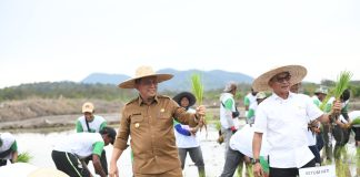 Dobrak Mitos. Gubernur Ansar Tanam Padi di Lingga bersama Moeldoko Gubernur Ansar menanam padi di Sungai Raye bersama Ketua Umum Himpunan Kerukunan Tani Indonesia (HKTI) yang juga Kepala Staf Kepresidenan RI Moeldoko di Sungai Raye, Kecamatan Singkep Barat, Kabupaten Lingga, Senin (21/11) F,Diskominfo Kepri