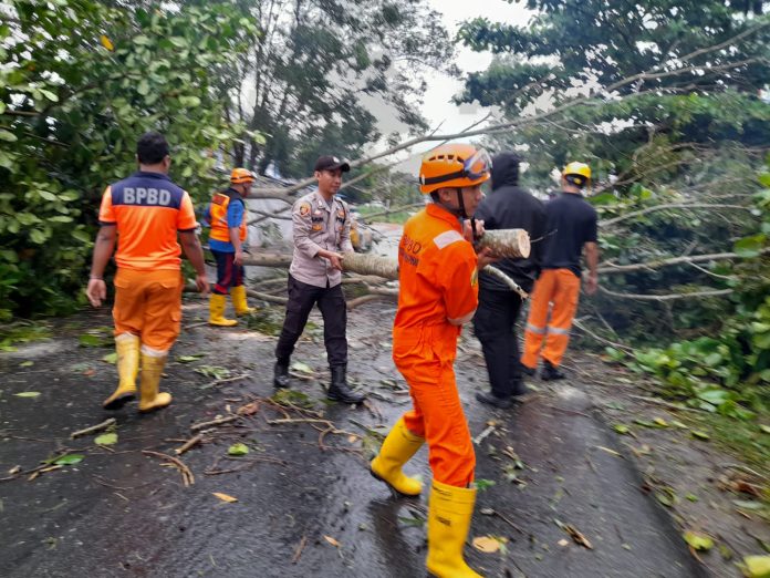 Para petugas membersihkan pohon yang tumbang di Jalan Tanjunguban Kilometer 11 karena hujan disertai angin deras yang terjadi di Tanjungpinang Selasa (15/11) dini hari F,Polresta Tanjungpinang