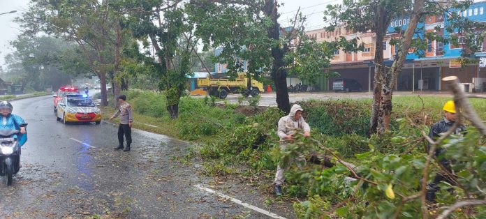 Hujan deras dan angin kencang yang melanda Tanjungpinang di Rabu (11/1) pagi membuat pohon tumbang di Jalan Pemuda dan Kelurahan Air Raja Kecamatan Tanjungpinang Timur Kota Tanjungpinang F, Polresta Tanjungpinang