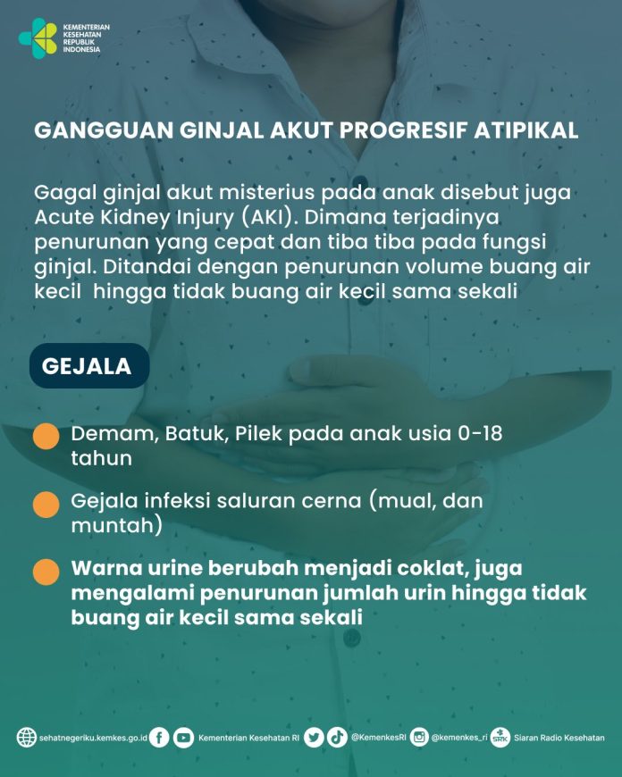 Juru Bicara Kementerian Kesehatan dr. M Syahril, Senin (6/2) mengatakan penambahan kasus tercatat pada tahun ini, satu kasus konfirmasi GGAPA dan satu kasus suspek F,twiter Kemkes