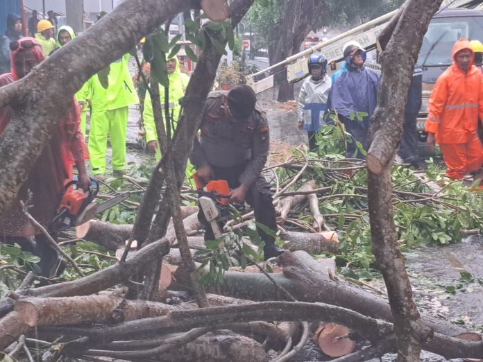 Polresta Tanjungpinang bersama Dinas Perkim dan BPBD Kota Tanjungpinang dengan sigap melakukan evakuasi terhadap pohon tumbang yang menimpa mobil warga di Jalan Engku Putri, Tanjungpinang, Jumat (3/3) F,Polresta Tanjungpinang
