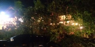 Pohon Kembali Tumbang di Tanjungpinang dan Timpa Mobil Pohon tumbang terjadi di kilometer 10 di depan hotel Comforta, Tanjungpinang, Sabtu (4/2) malam. Pohon ini tumbang dan menimpa sebuah mobil strada berwarna hitam F,BI