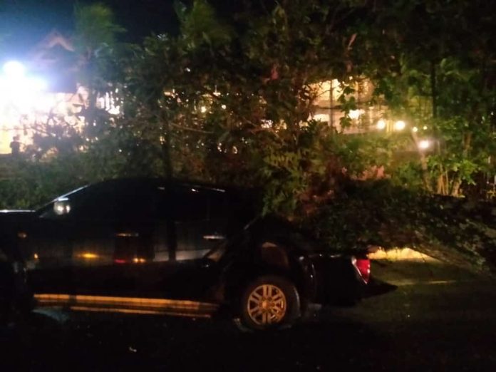 Pohon tumbang terjadi di kilometer 10 di depan hotel Comforta, Tanjungpinang, Sabtu (4/2) malam. Pohon ini tumbang dan menimpa sebuah mobil strada berwarna hitam F,BI