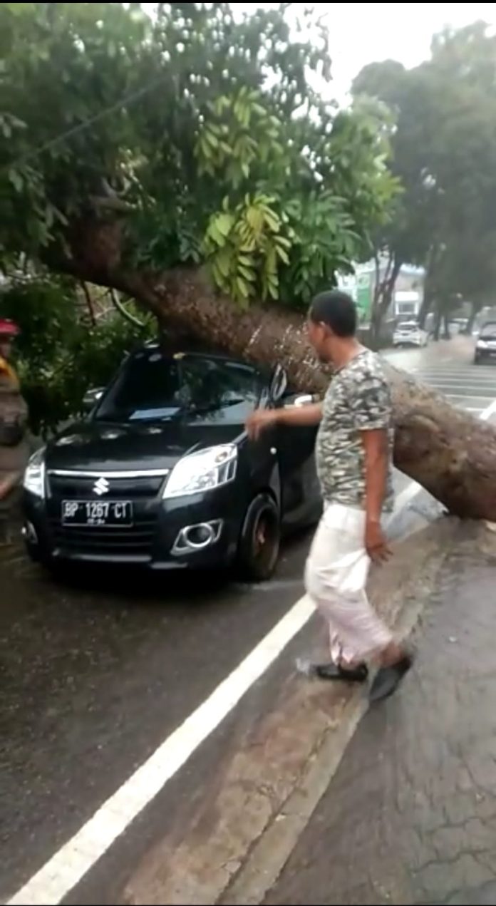 Sebuah mobil merek suzuki bernomor plat BP 1267 CT tertimpa pohon tumbang saat sedang melintas di jalan raya Engku Putri, Tanjungpinang, Jumat (3/3) F,BI