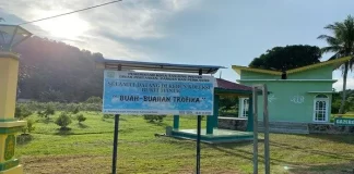 Wisata di Kawasan Wisata Bukit Manuk, Bisa Cicipi Buah Gratis di Lokasi Kawasan Wisata Bukit Manuk di Jalan Tanjung Terus, Kampung Bugis menjadi destinasi agrowisata yang ditumbuhi berbagai jenis tanaman hias dan buah-buahan F,destinasi wisata