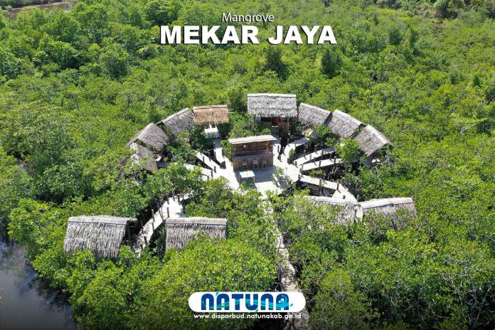 Kawasan Strategis Wisata Hutan Mangrove Mekar Jaya berada di Desa Mekar Jaya, Kecamatan Bunguran Barat, Kabupaten Natuna, Provinsi Kepulauan Riau (Kepri), Indonesia. Desa ini sudah masuk daftar sebagai salah satu dewasa wisata di Indonesia di Kementerian Pariwisata F,Pemkab Natuna