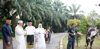 Usai Salat Idul Adha, Wakil Wali Kota Batam Serahkan Hewan Kurban ke Masjid Wakil Wali Kota Batam Amsakar Achmad setelah salat Idul Adha 1444 Hijriah menyerahkan hewan kurban berupa satu ekor sapi kepada panitia kurban di masjid di Sekupang, Kamis (29/6) pagi f,Pemko Batam