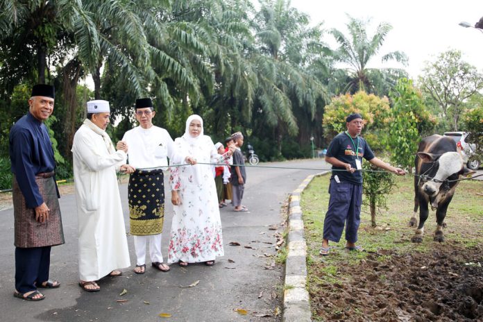 Wakil Wali Kota Batam Amsakar Achmad setelah salat Idul Adha 1444 Hijriah menyerahkan hewan kurban berupa satu ekor sapi kepada panitia kurban di masjid di Sekupang, Kamis (29/6) pagi f,Pemko Batam