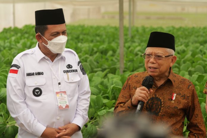 Wakil Presiden RI KH. Ma'ruf Amin mengawali kunjungan kerjanya ke Provinsi Kepulauan Riau dengan meninjau areal pertanian hidroponik modern Batamindo Green Farm di Southlink Tiban, Kota Batam, Rabu (7/6) f, Diskominfo Kepri