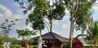 Poyotomo Bintan, Kawasan Wisata Sejuk Ketika Dipandang Hati Langsung Bahagia Kolam Pemancingan Poyotomo Bintan sangat cocok dijadikan pilihan berwisata bersama keluarga. Kawasan wisata ini terletak di Desa Sekuning, Sri Bintan, Kabupaten Bintan tepatnya di bawah kaki Gunung Bintan f,BI