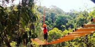 Forest Top Batam, Tempat Wisata Menantang Adrenalin dan Tempat Belajar Kawasan Forest Top Batam terdapat di Bukit Harimau, Kec. Sekupang, Kota Batam, Kepulauan Riau. Kawasan wisata ini sangat cocok untuk para pecinta permainan yang memacu adrenalin, f bkppkutim