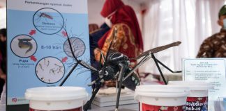 Kementerian Kesehatan Terapkan Teknologi Wolbachia untuk Reduksi Penyebaran Demam Berdarah Dengue di Indonesia Kementerian Kesehatan Indonesia telah mengadopsi teknologi terbaru dalam upaya mengurangi penyebaran Demam Berdarah Dengue (DBD) di seluruh negeri.