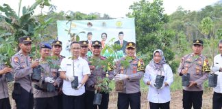 125 Bibit Pohon Buah Ditanam, Lingkungan Polres Bintan Bakal Dikelilingi Pohon Buah Polres Bintan melakukan penanaman bibit pohon buah di lingkungan Polres Bintan, Rabu (15/11) f,Polres Bintan