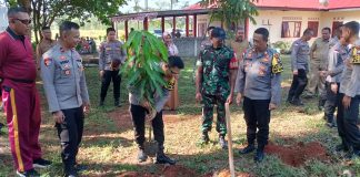 Polres Bintan Tanam 100 Pokok Pohon Buah di Wilayah Polsek Teluk Bintan Polres Bintan melaksanakan penanaman pohon di wilayah Polsek Teluk Bintan, Sabtu (4/11). Terdapat 100 bibit pohon produktif dengan buah yang bisa dikonsumsi yang ditanam f,Polres Bintan