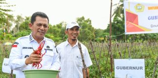 Pemprov Berikan Mesin Potong Rumput, Robin dan Pupuk Organik Cair Bantu Petani Cabai di Moro Gubernur Kepulauan Riau H. Ansar Ahmad mengunjungi petani cabai di Kampung Sidodadi, Kecamatan Moro Kelurahan Moro Timur, Kabupaten Karimun, Rabu (20/12) f,diskominfo Kepri