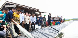 Gubernur Kepri Ansar Ahmad Apresiasi Budidaya Udang Vaname di Desa Tinjul, Kabupaten Lingga Gubernur Kepulauan Riau (Kepri) H. Ansar Ahmad menghadiri panen udang parsial di Desa Tinjul, Kecamatan Singkep Barat, Kabupaten Lingga, Sabtu (20/01) f,diskominfo Kepri