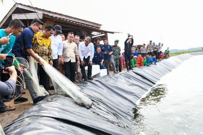 Gubernur Kepulauan Riau (Kepri) H. Ansar Ahmad menghadiri panen udang parsial di Desa Tinjul, Kecamatan Singkep Barat, Kabupaten Lingga, Sabtu (20/01) f,diskominfo Kepri