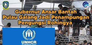 Gubernur Ansar Bantah Pulau Galang Jadi Penampungan Pengungsi Rohingya Gubernur Kepulauan Riau Ansar Ahmad membantah terkait rumor yang menyebutkan bahwa Pemerintah Provinsi Kepri bersama dengan United Nations High Commissioner for Refugees (UNHCR) Indonesia telah menyepakati untuk menjadikan Pulau Galang sebagai tempat penampungan pengungsi Rohingya f,diskominfo Kepri