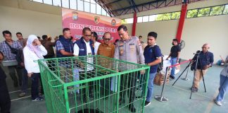 Polda Kepri Gagalkan Penyelundupan Satwa Langka: Tiga Tersangka Ditangkap Ditreskrimsus Polda Kepri berhasil ungkap kasus penyelundupan hewan serta amankan tiga orang tersangka dalam kasus penyelundupan hewan yang dilindungi. Pengungkapan ini disampaikan di Hanggar Cakra Buana Samapta Polda Kepri. Kamis (30/5/2024) f, Polda Batam