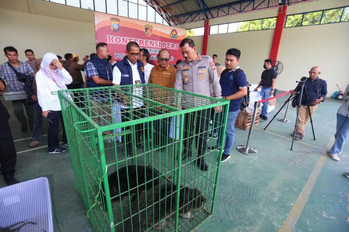 Ditreskrimsus Polda Kepri berhasil ungkap kasus penyelundupan hewan serta amankan tiga orang tersangka dalam kasus penyelundupan hewan yang dilindungi. Pengungkapan ini disampaikan di Hanggar Cakra Buana Samapta Polda Kepri. Kamis (30/5/2024) f, Polda Batam