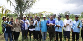 Tinjau Panen Kelompok Tani, PJ Walikota Hasan, Harapkan Bisa Jadi Motivasi dan Dorongan Pengembangan Pertanian Penjabat (Pj) Wali Kota Tanjungpinang, Hasan, meninjau panen kelompok tani binaan Pemko Tanjungpinang, di Kampung Sidomulyo dan Kampung Madong, Sabtu (18/5) f,Pemko Tanjungpinang