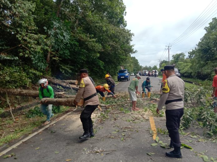 Personil Polsek Gunung Kijang Polres Bintan melakukan pemotongan Pohon yang tumbang akibat angin kencang, Sabtu (1/6/2024) f, Polres Bintan