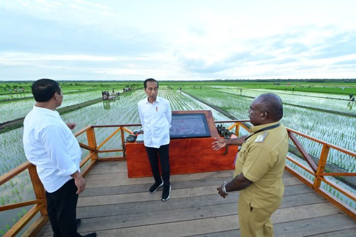 Presiden Jokowi berkunjung ke Desa Telaga Sari, Distrik Kurik, Kabupaten Merauke, Papua Selatan, Selasa (23/07/2024). (Foto: BPMI Setpres/Muchlis Jr)