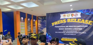 Bakamla RI Gagalkan Penyelundupan Benih Lobster ke Malaysia Bakamla RI melalui unsur KN. Bintang Laut-401 yang tergabung dalam Tim Operasi Khusus (Opsus) berhasil menggagalkan penyelundupan benih lobster di Perairan Pulau Tandur, Jumat (25/10/2024). Foto Humas Bakamla RI