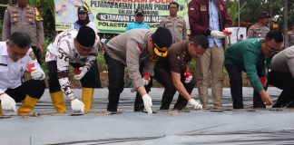 Polresta Tanjungpinang Gelar Penanaman Serentak, Dukung Program Ketahanan Pangan Nasional Polresta Tanjungpinang melaksanakan kegiatan penanaman serentak di wilayah Polsek Tanjungpinang Kota, tepatnya di Jalan Daeng Celak, Sei Ladi, RT 2 RW 3, Kelurahan Kampung Bugis, Kecamatan Tanjungpinang Kota, Rabu (20/11/2024) f.Polresta Tanjungpinang